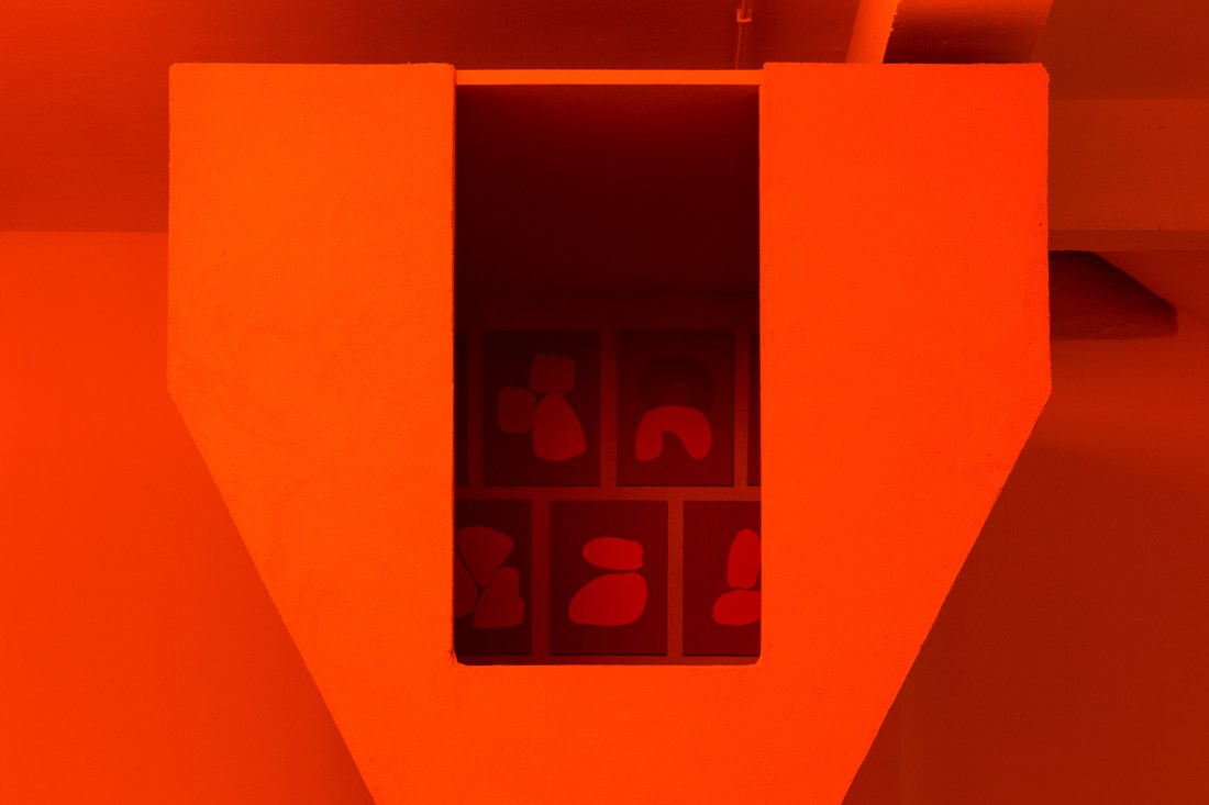 habitantes-de-habitantes-10