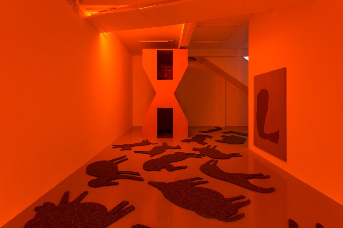 habitantes-de-habitantes-11