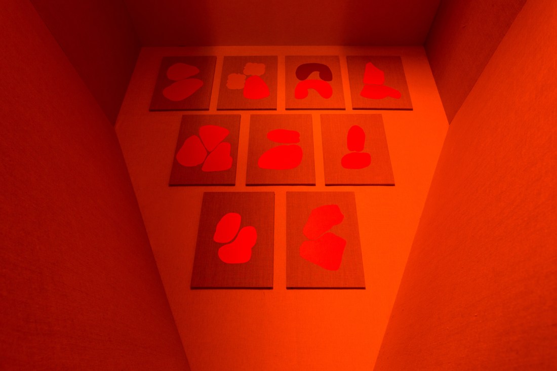 habitantes-de-habitantes-15