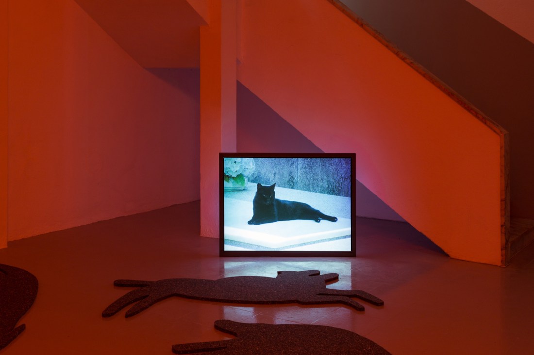 habitantes-de-habitantes-18