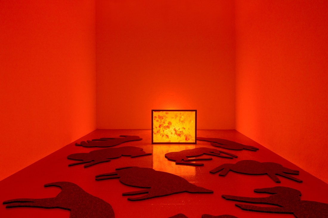 habitantes-de-habitantes-2