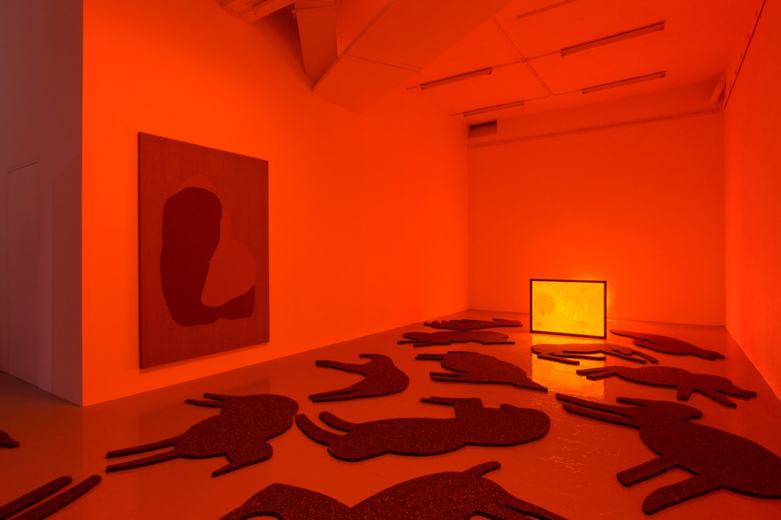 habitantes-de-habitantes-5