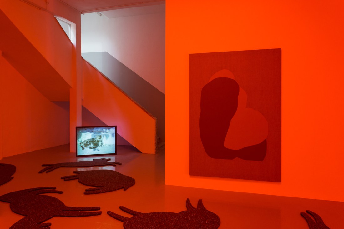 habitantes-de-habitantes-8