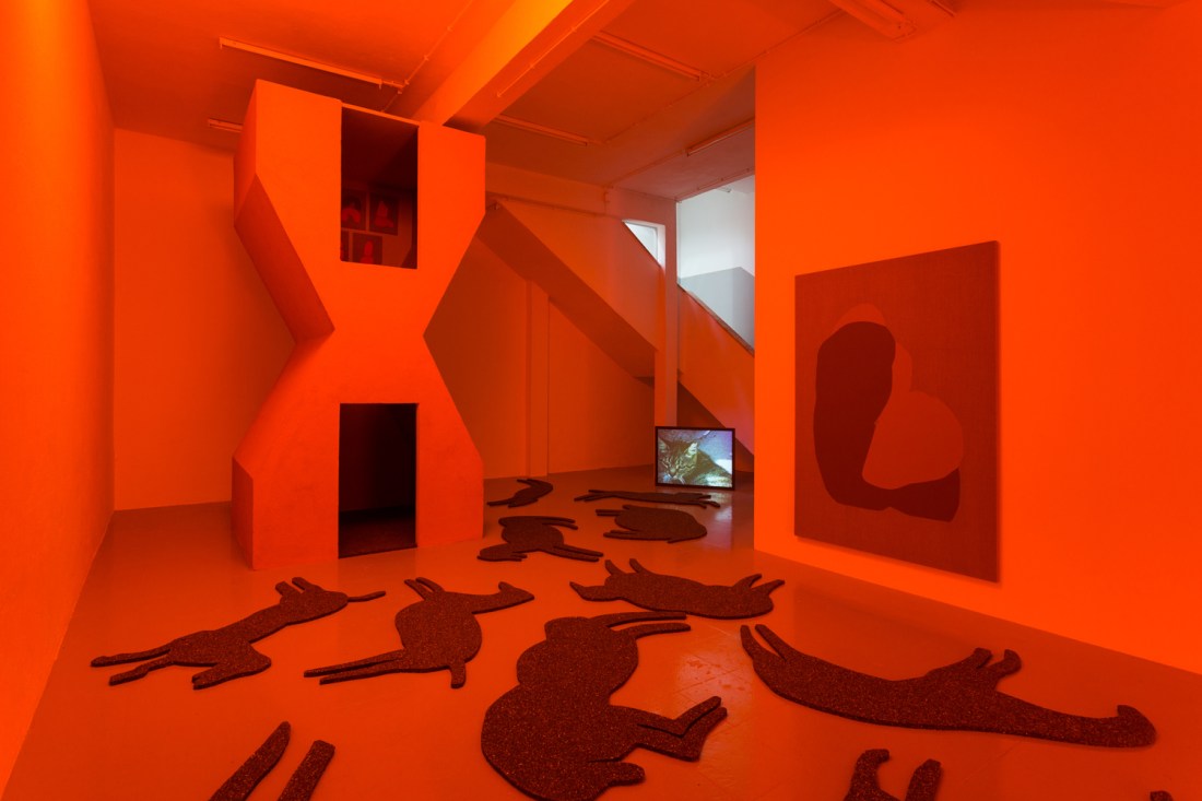 habitantes-de-habitantes-9