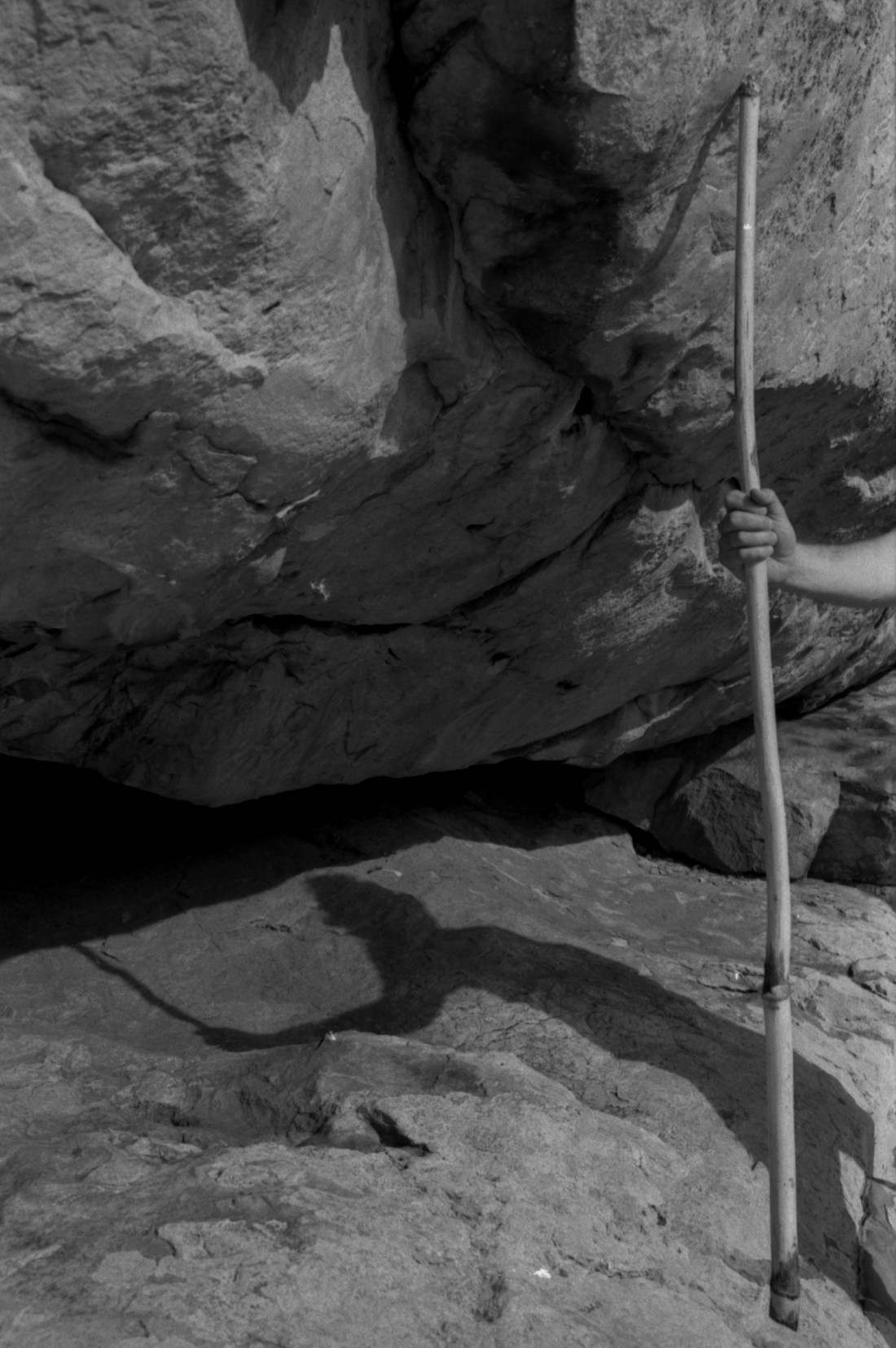 observatorio-sombra-e-pau-seco-de-erva-doce-junto-as-pinturas-rupestres-de-pedras-roias