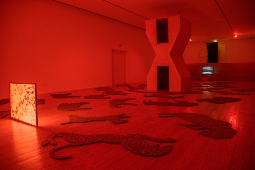 Habitantes-de-Habitantes_MNSR_N-Recuperado