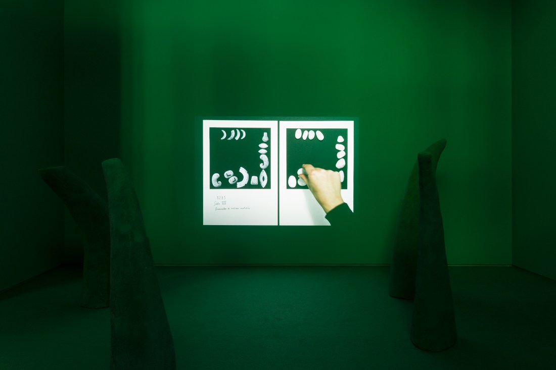 Mariana Caló & Francisco Queimadela-4