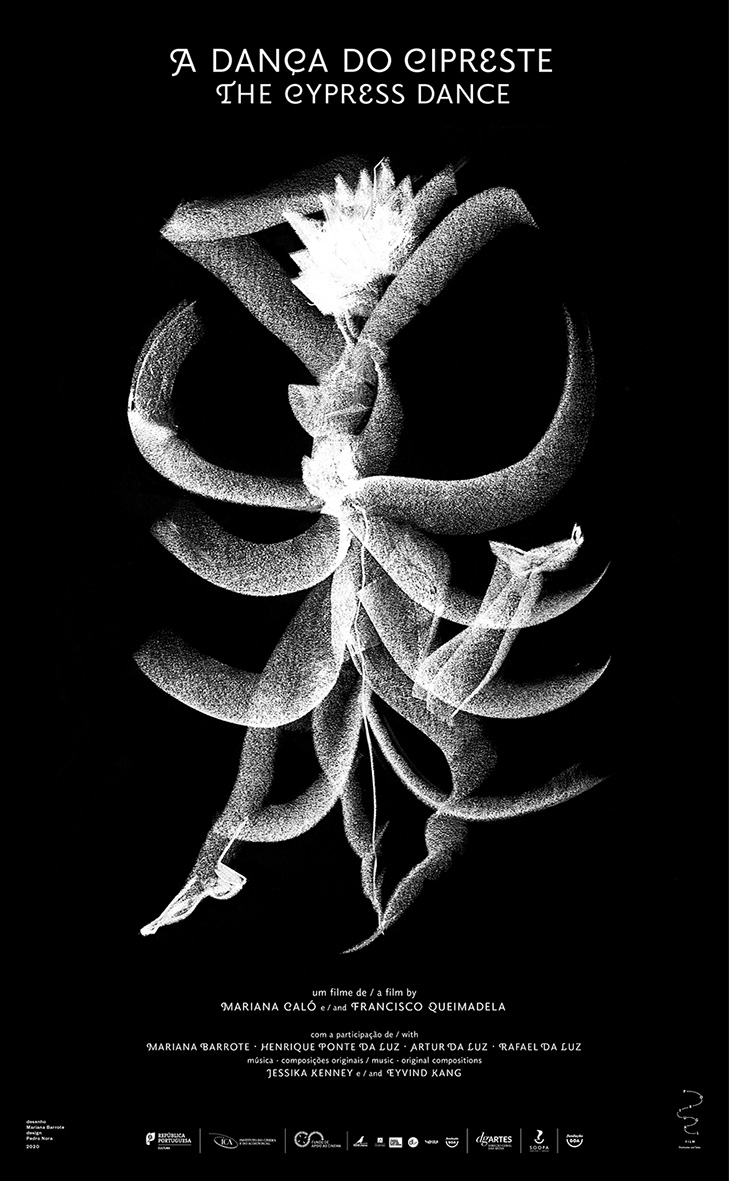 dança_cipreste_cartaz_referência